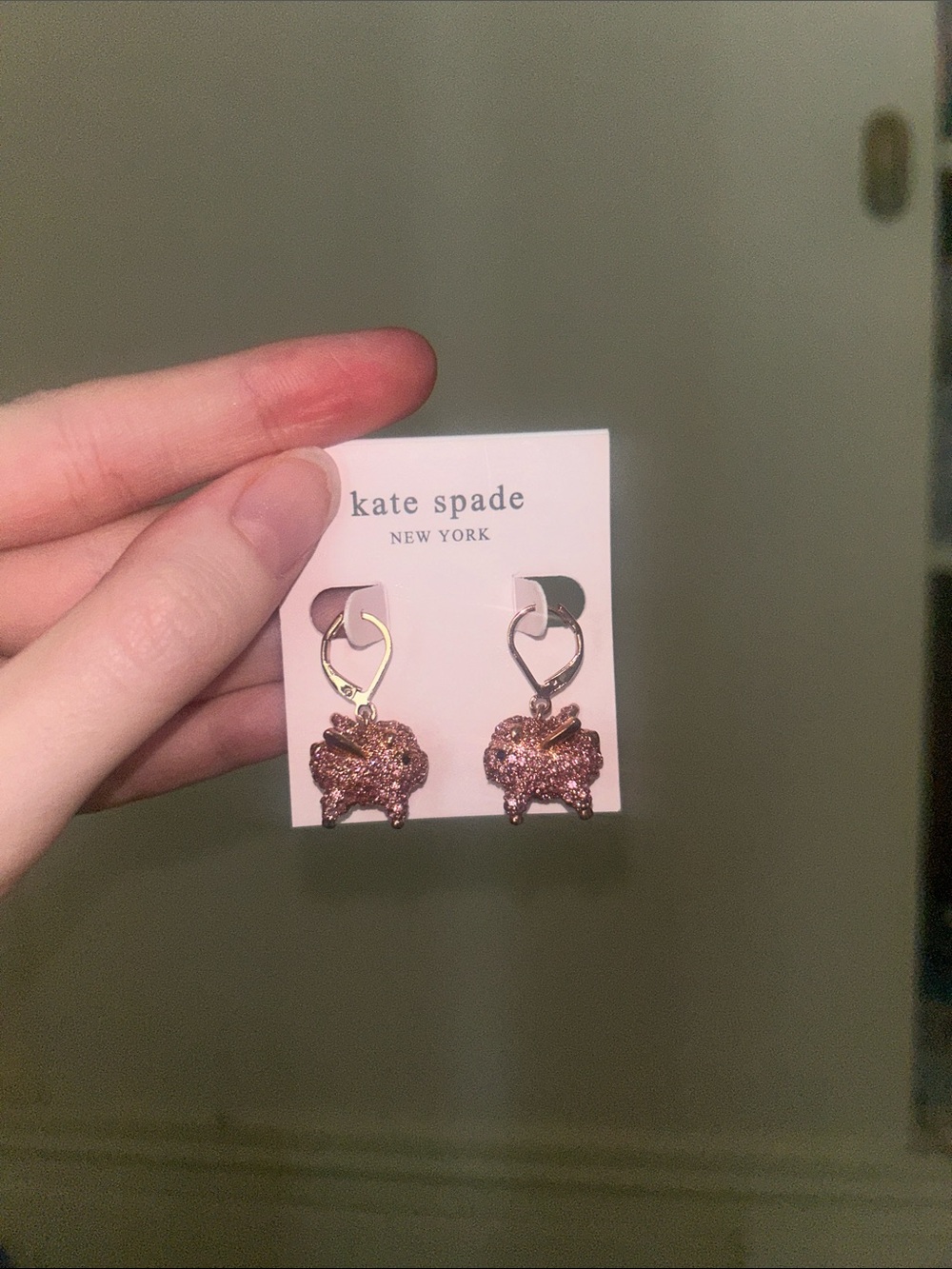 Kate Spade flying pig 🐷 earrings